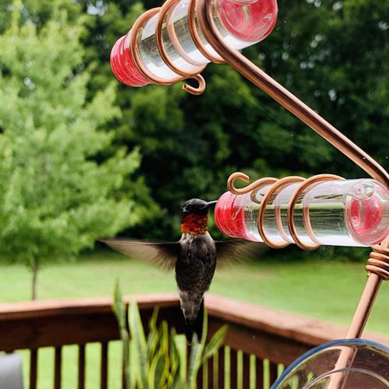 Window Hummingbird Feeder – Copper Coil with Suction Cups – view 9