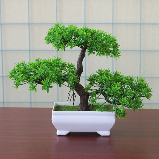 Faux Pine Bonsai in White Pot