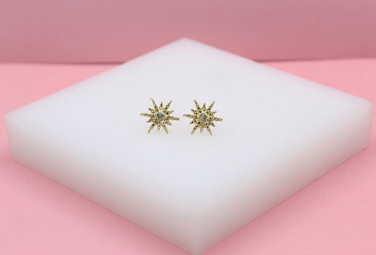 Shining Star CZ Stud Earrings-0