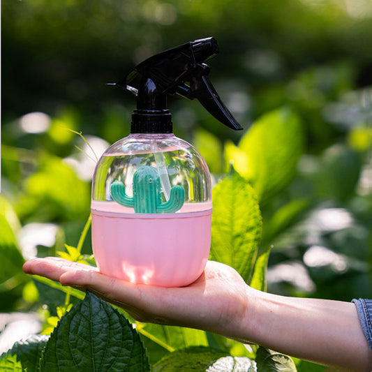 Cactus Spray Bottle Plant Mister – 500 ml